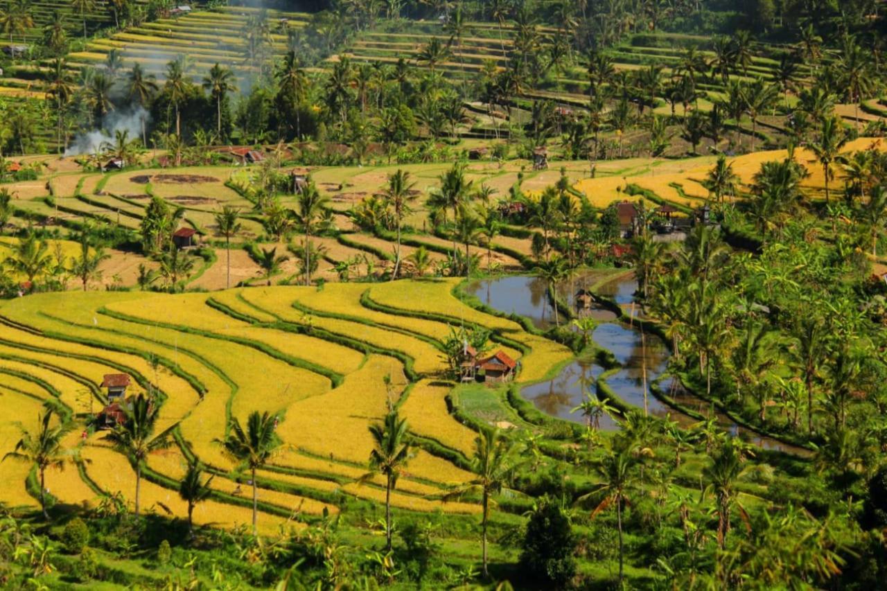 Bali Munduk Delux Bungalow Villa Singaraja Buitenkant foto