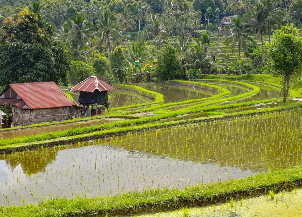 Bali Munduk Delux Bungalow Villa Singaraja Buitenkant foto