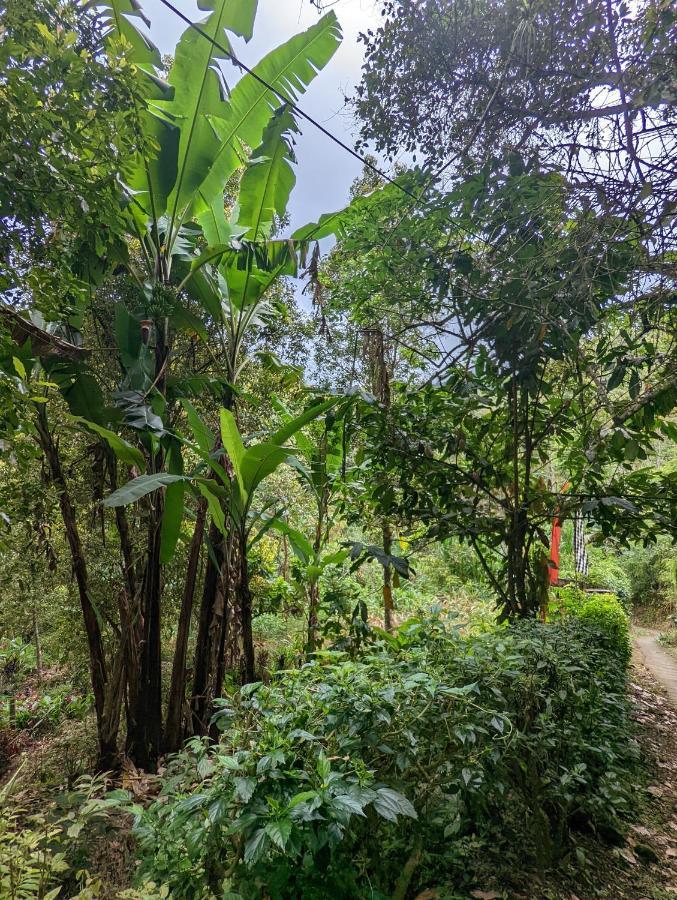 Bali Munduk Delux Bungalow Villa Singaraja Buitenkant foto