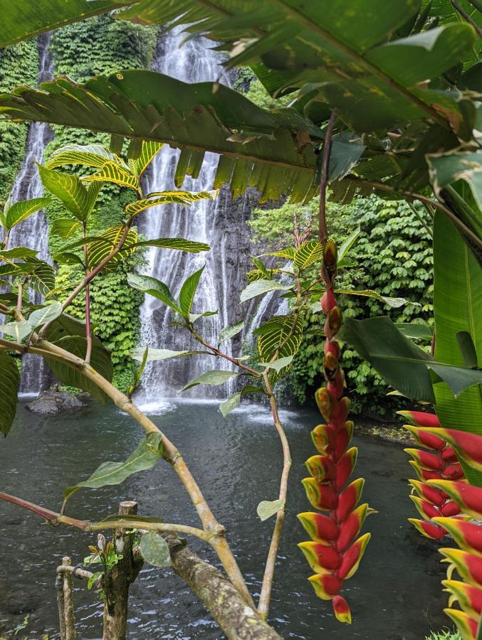 Bali Munduk Delux Bungalow Villa Singaraja Buitenkant foto