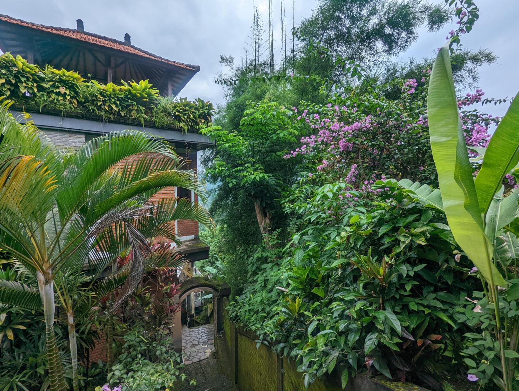 Bali Munduk Delux Bungalow Villa Singaraja Buitenkant foto