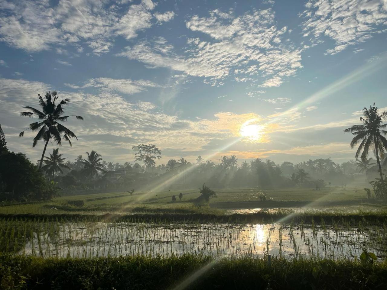 Bali Munduk Delux Bungalow Villa Singaraja Buitenkant foto